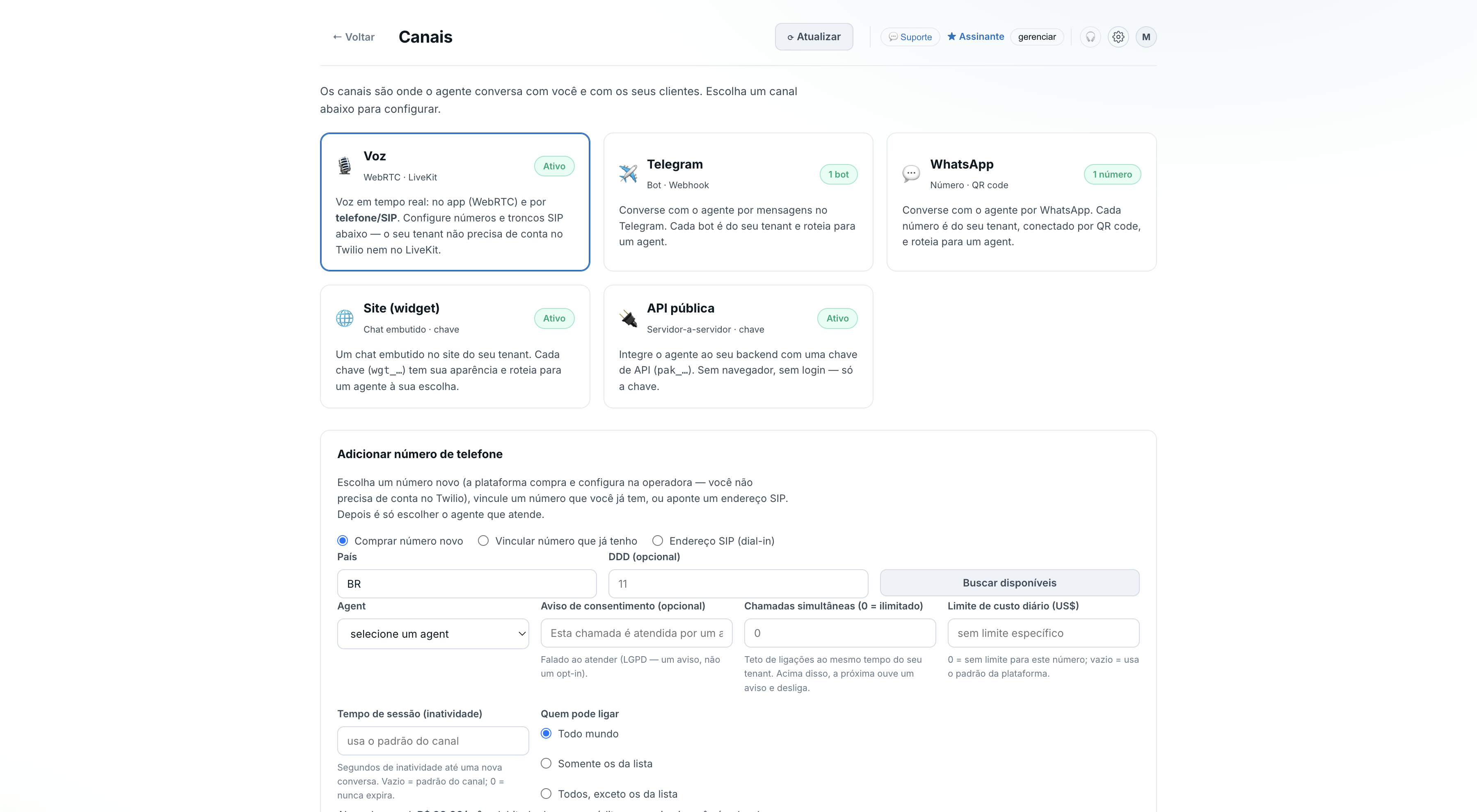 Tela de canais do painel: voz, Telegram, WhatsApp, widget e API pública, com compra de número de telefone